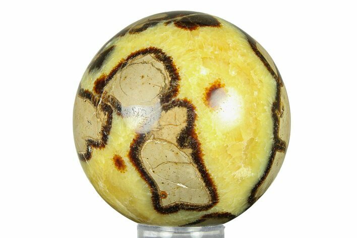 Polished Septarian Sphere - Madagascar #289930